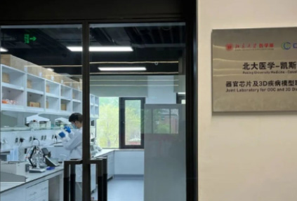 动物实验原则生变！器官芯片技术迎来加速发展机遇